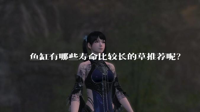 鱼缸有哪些寿命比较长的草推荐呢?