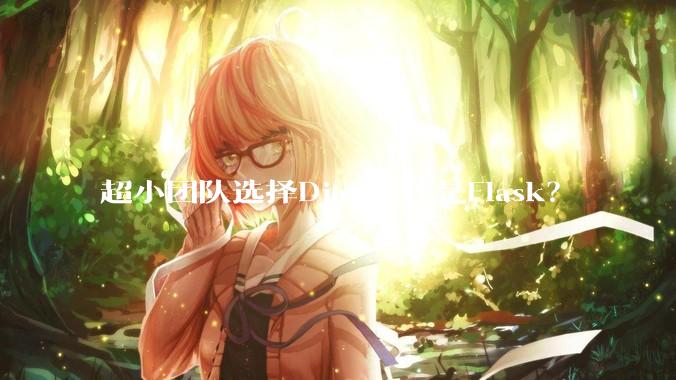 超小团队选择Django还是Flask?