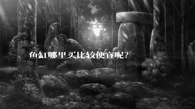 鱼缸哪里买比较便宜呢?