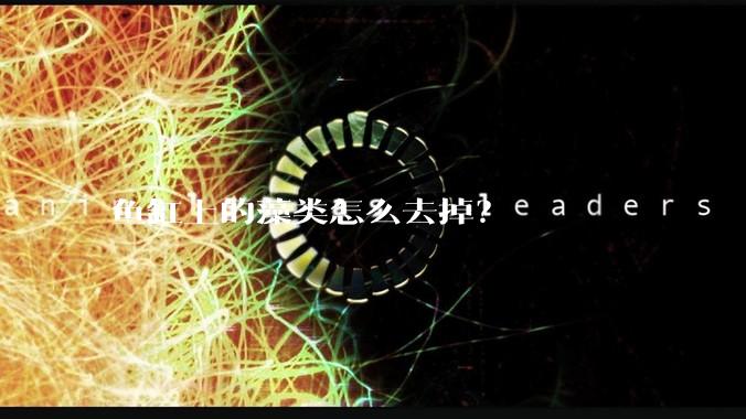 鱼缸上的藻类怎么去掉?