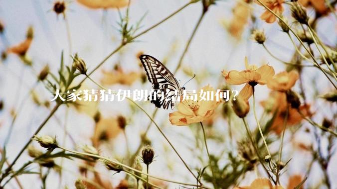 大家猜猜伊朗的结局如何?