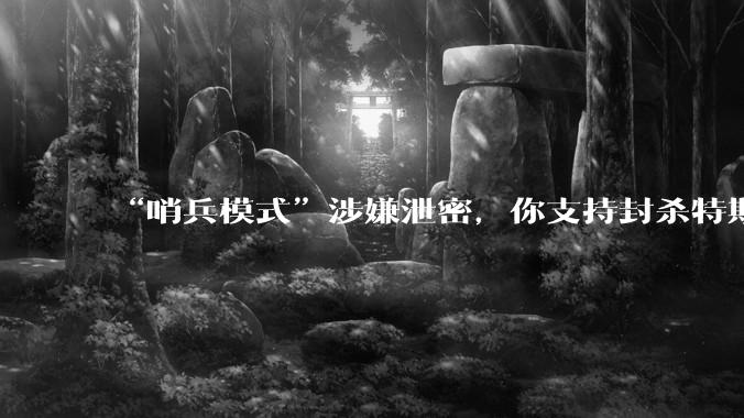 “哨兵模式”涉嫌泄密,你支持封杀特斯拉吗?