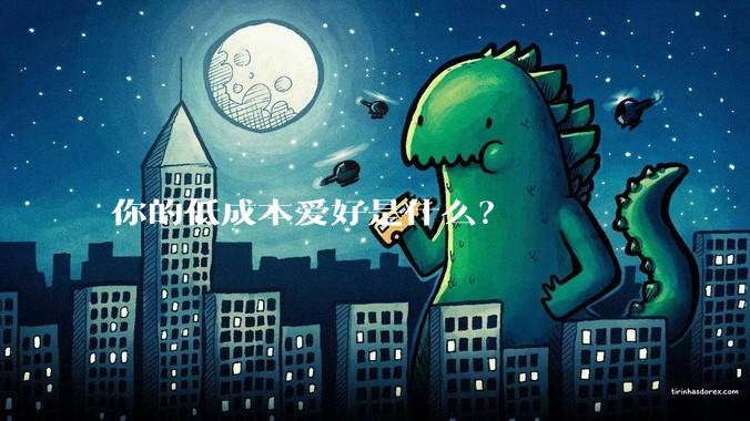 你的低成本爱好是什么?