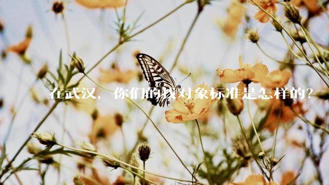 在武汉,你们的找对象标准是怎样的?
