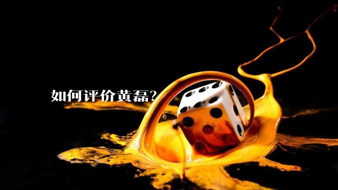 如何评价黄磊?