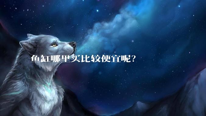 鱼缸哪里买比较便宜呢?