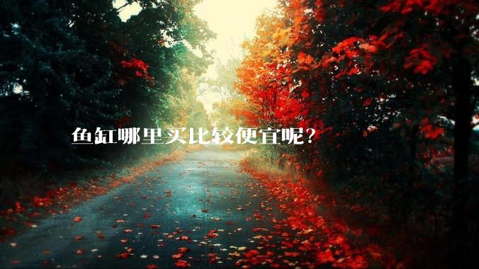 鱼缸哪里买比较便宜呢?
