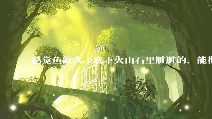 感觉鱼缸久了底下火山石里脏脏的,能彻底换水清理一遍不?