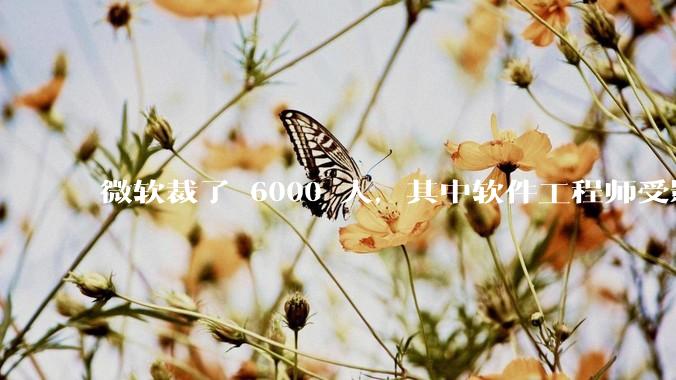 微软裁了 6000 人,其中软件工程师受影响最大,这会给整个软件行业的人才流动带来怎样的连锁反应?