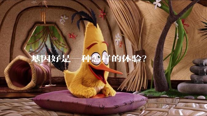 基因好是一种怎样的体验?