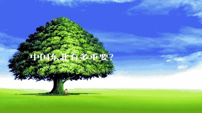 中国东北有多重要?