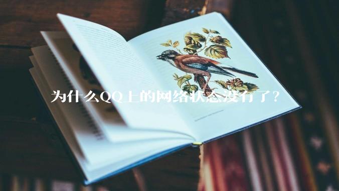 为什么QQ上的网络状态没有了?