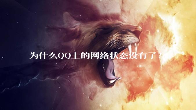 为什么QQ上的网络状态没有了?