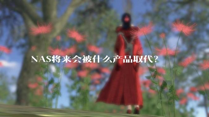 NAS将来会被什么产品取代?